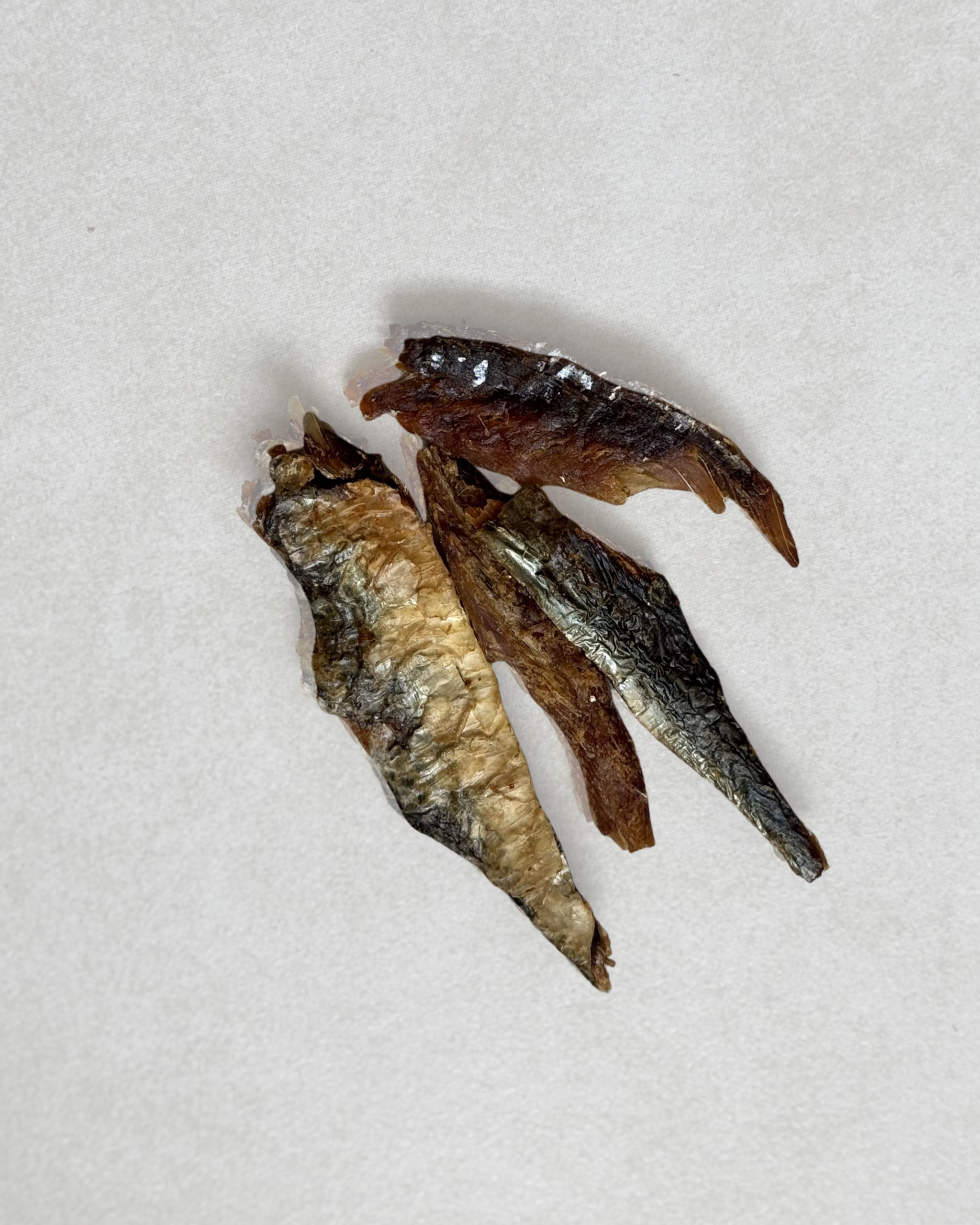 Sardina Bites - Image 4